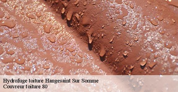 Hydrofuge toiture  hangesaint-sur-somme-80310 Couvreur toiture 80