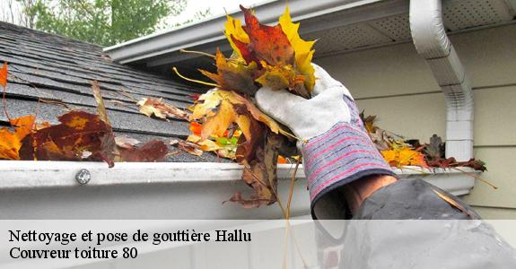 Nettoyage et pose de gouttière  hallu-80320 Couvreur toiture 80